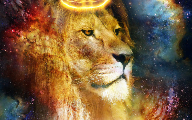 The Lions Gate Portal 8/8 + Ritual – HEALING ENERGY TOOLS