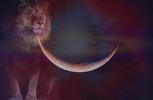 New Moon in Leo, August 16th, 2023